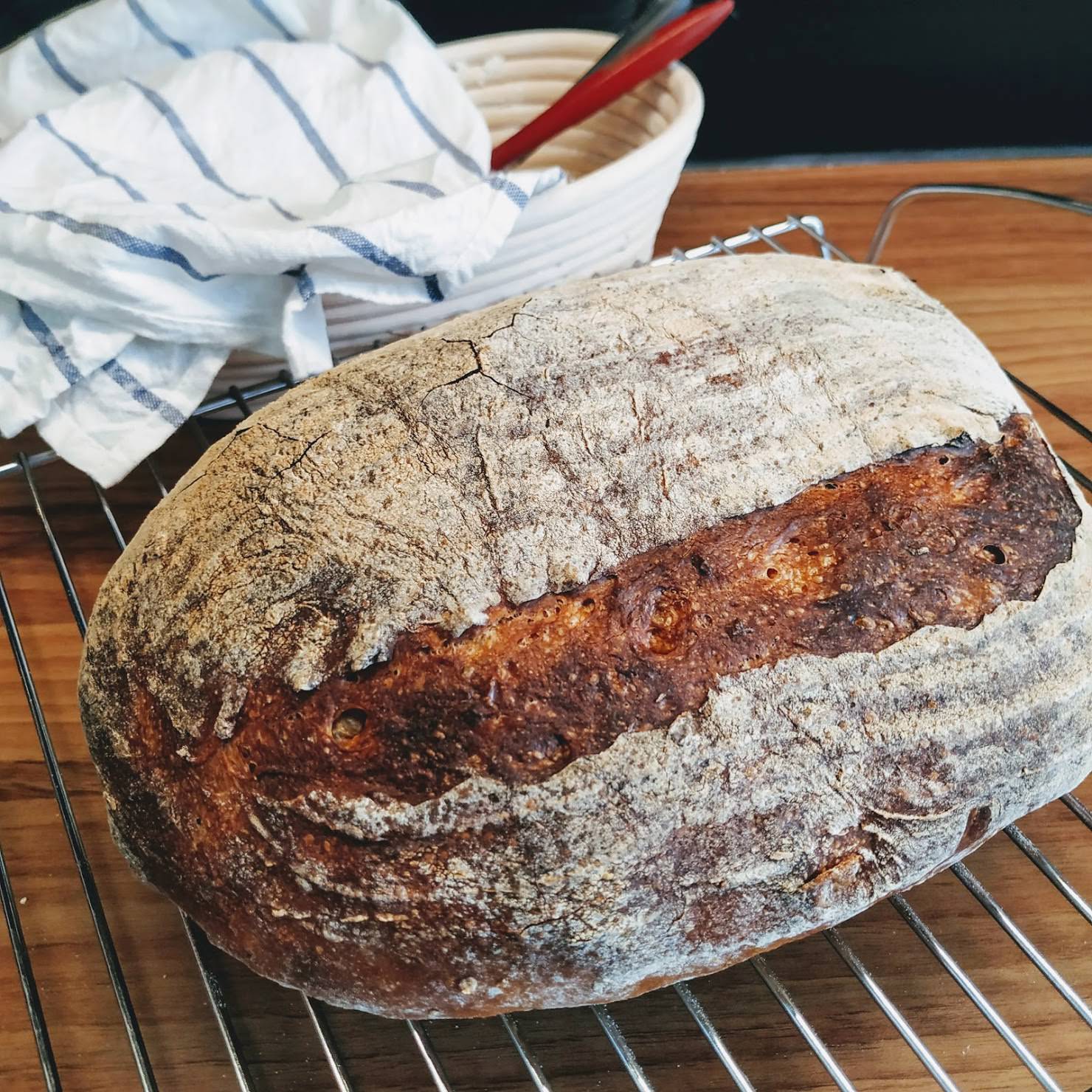 Sourdough Rye Bread
